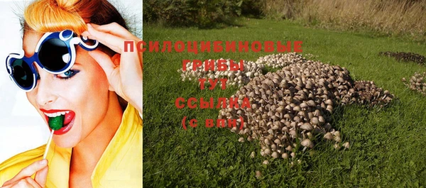 молекула духа Строитель