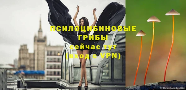 молекула духа Строитель